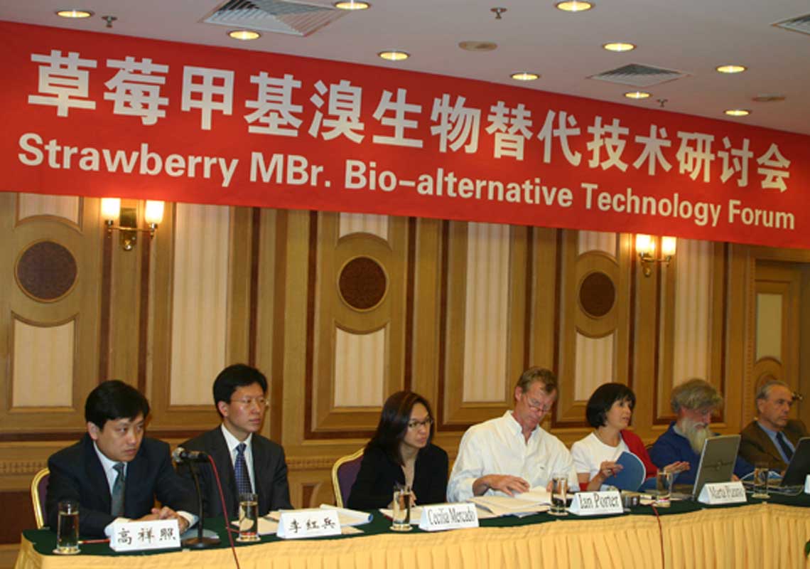 聯(lián)合國環(huán)境署、聯(lián)合國工發(fā)組織等機構出席了我公司舉行的草莓甲基溴生物替代技術(shù)研討會(huì )